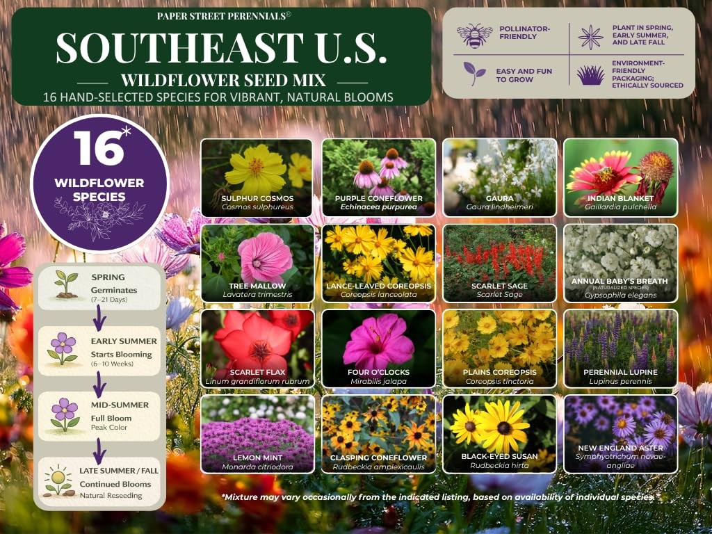 Arkansas Bulk Perennial and Annual Non-GMO Wildflower Seed Mix 1/4lb Covers 5…