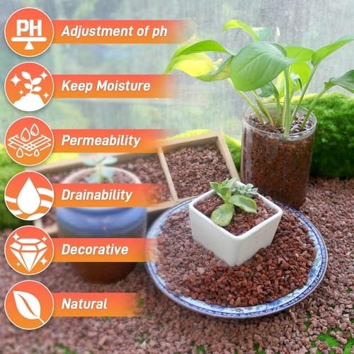 45Lb Lava Rock for Succulents & Cacti – Volcanic Soil Amendment, Drainage & Deco