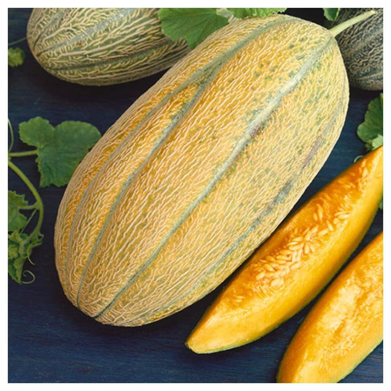 Banana Melon Seeds, Banana Cantaloupe, Aromatic, NON-GMO, FREE SHIPPING