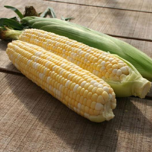 Peaches & Cream Corn Seeds | Non-GMO | Vegetable Seeds