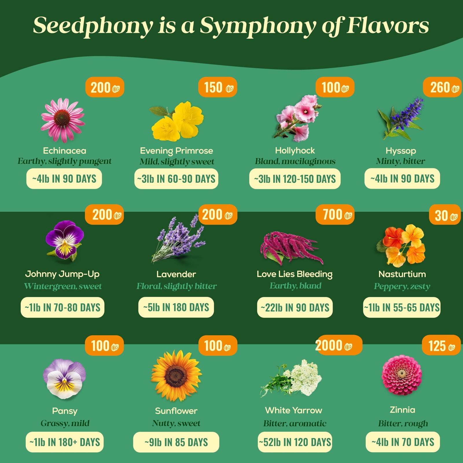 Seedphony 24 Green, Violet, Purple, Pink, Orange, Blue, Yellow, White