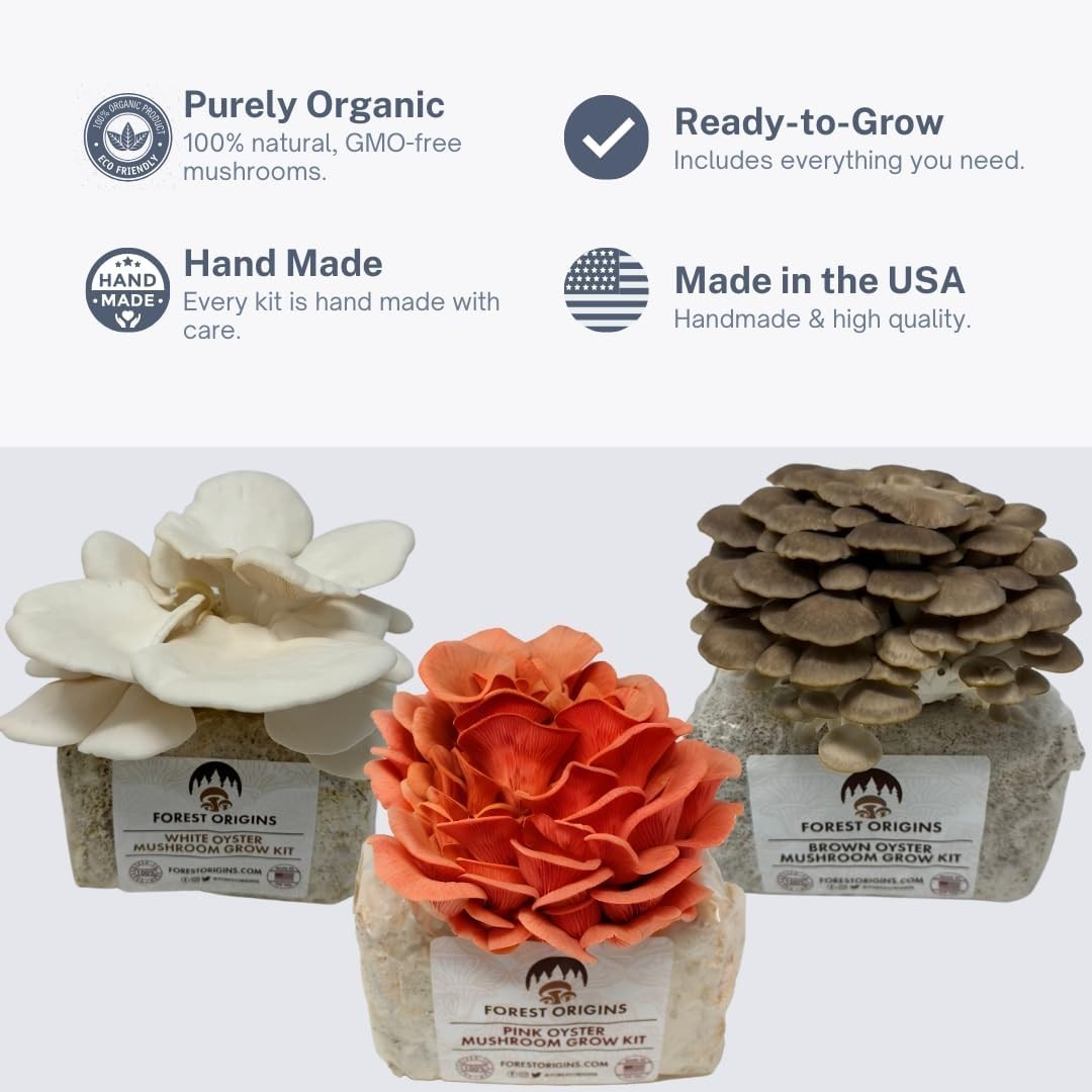 Mushroom Grow Kit – 3-Pack Pink, Brown, White Oyster for Home Gourmets