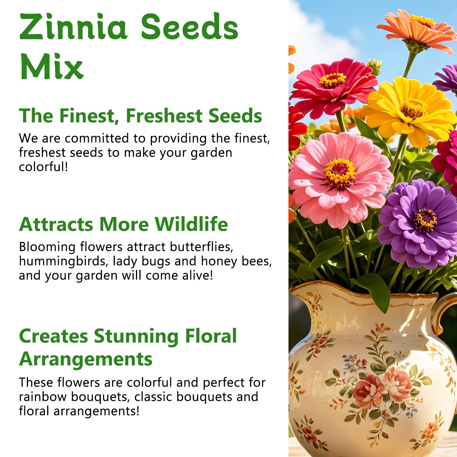 Zinnia Seeds for 2026, 6,000+ California Giant Zinnia Seeds Bulk, Double Dahl…