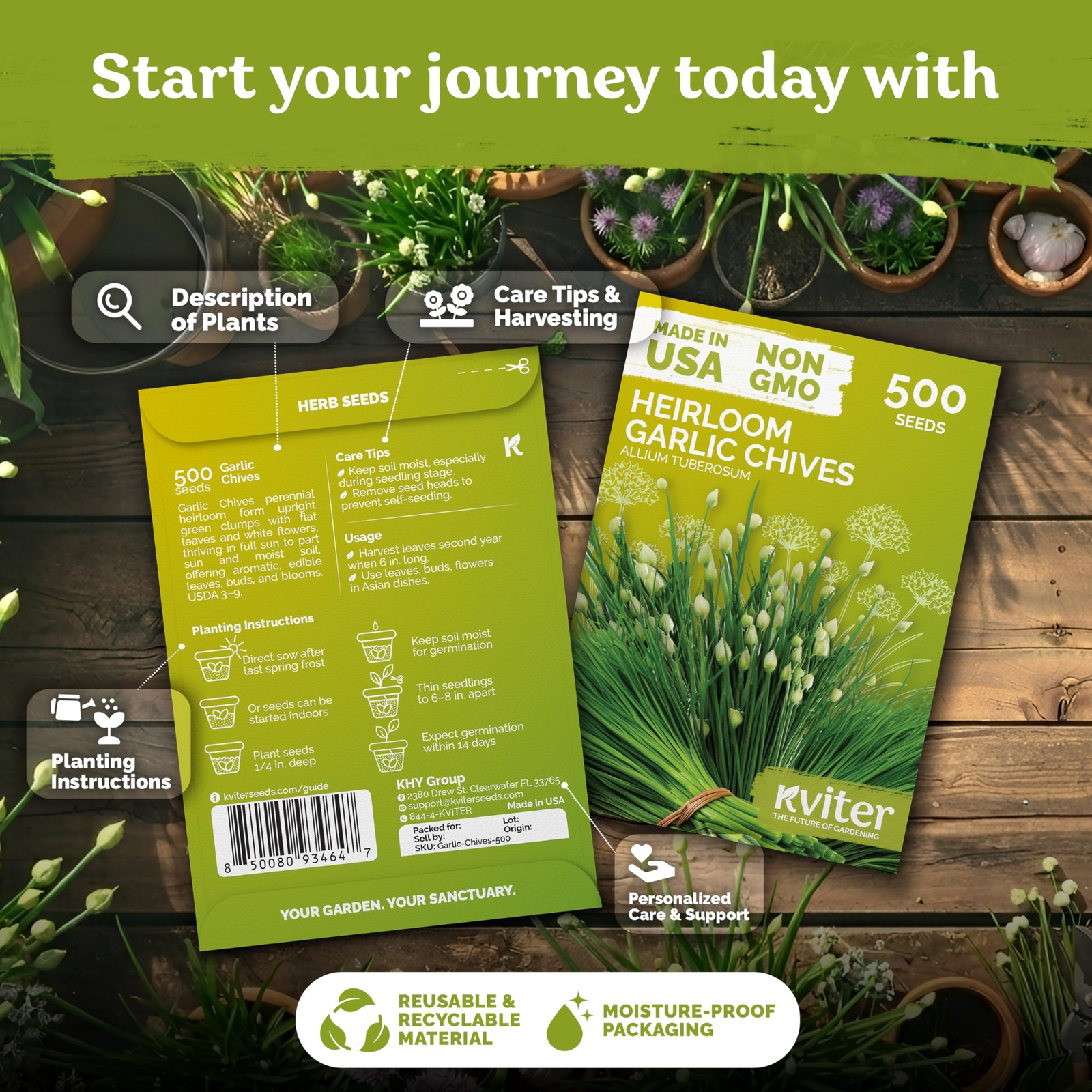 KVITER 500 Garlic Chives Seeds (Allium Tuberosum)
