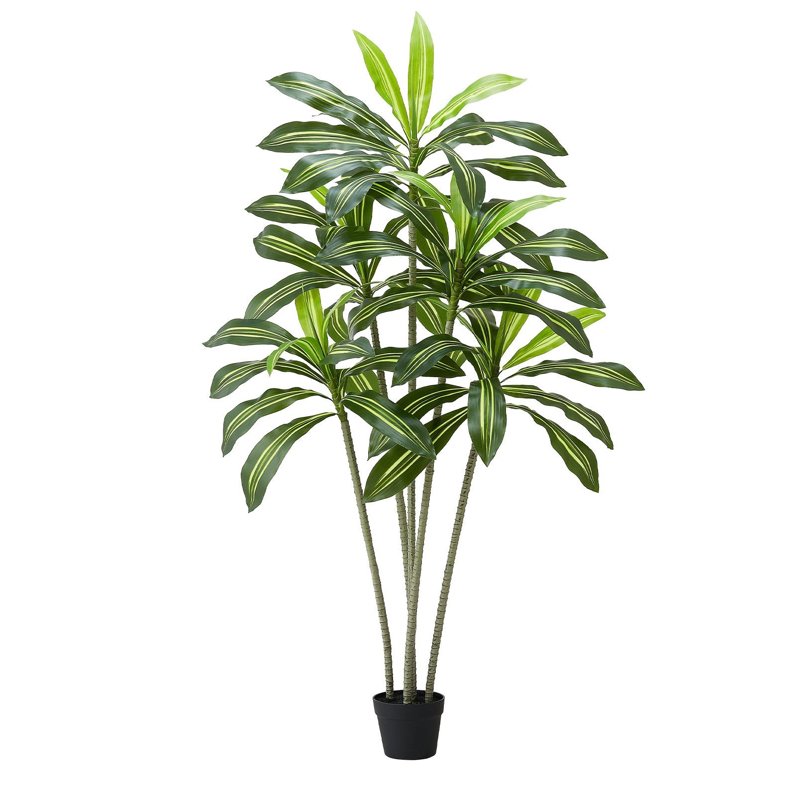 6ft Artificial Dracaena Tree, Faux Palm in White Planter, Indoor Outdoor Floor