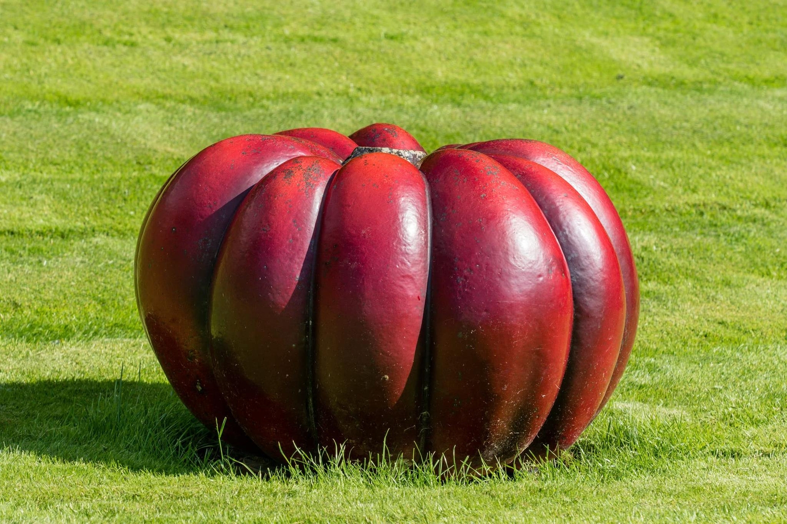 Rouge VIF D’Etampes Pumpkin Seeds for Planting (10 Seeds) – Grow Vivid Red Pumpk