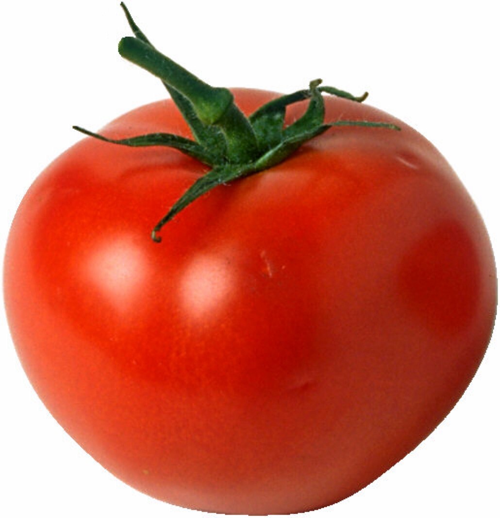 1 oz Tomato Seeds. Homestead, Non-Gmo Heirloom Tomato Seed, Heat Tolerant