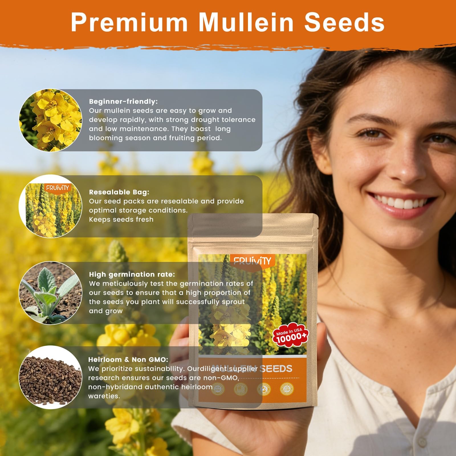 Fruivity 10,000+ Mullein Seeds for Planting(Verbascum Thapsus), yellow