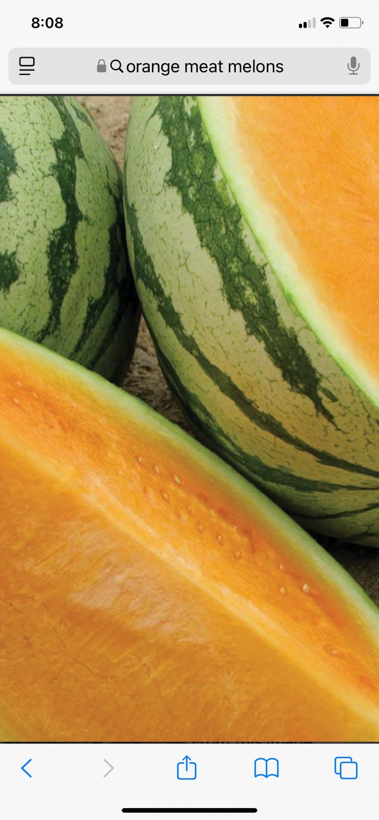Watermelon Seeds Red-Yellow-Orange Meat Pecos Cantaloupe Seeds 100 Seed Mix Pac