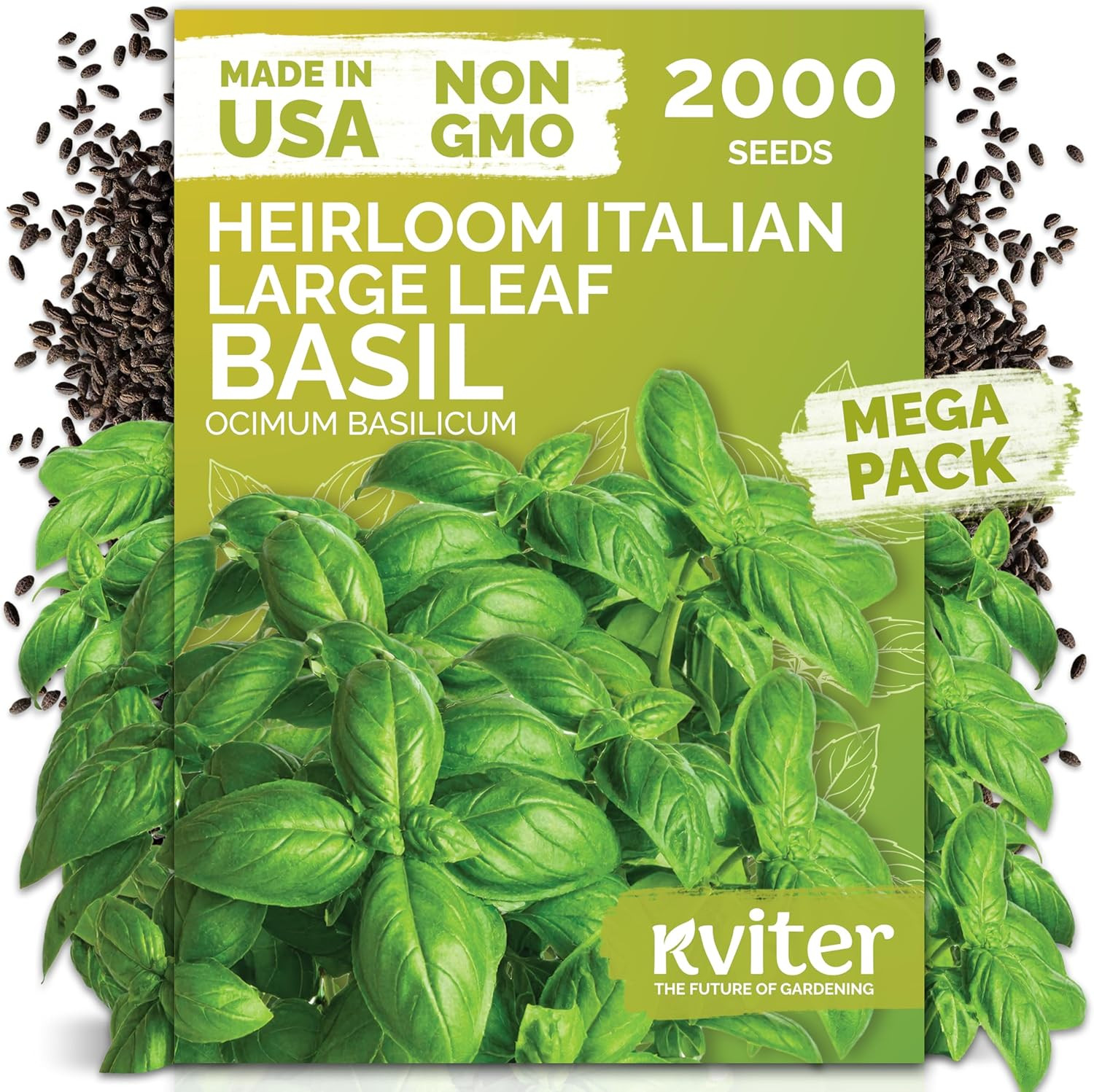 2000 Italian Basil Seeds for Planting (Ocimum Basilicum) – Sweet Genovese Basil,