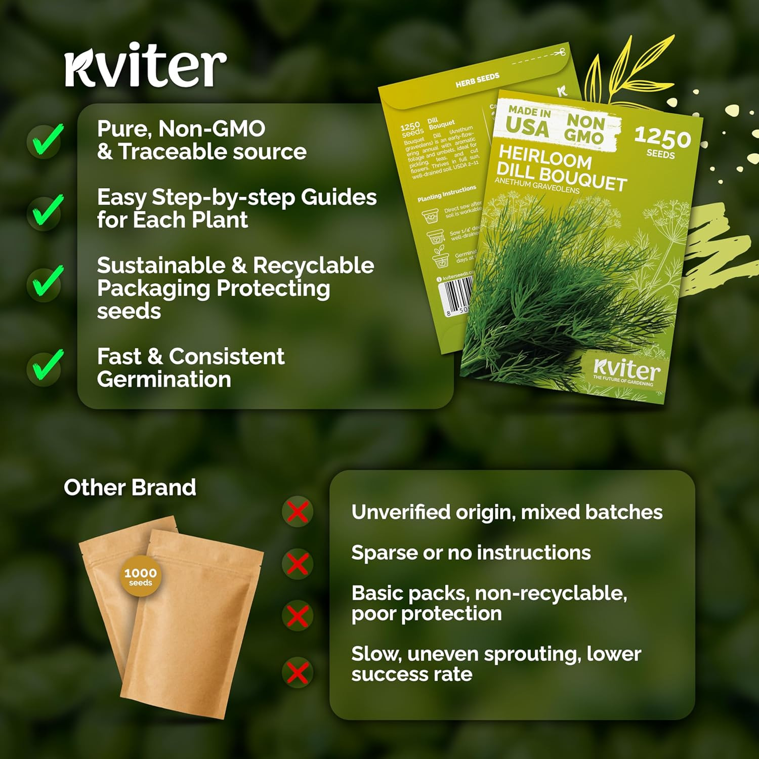 1250 Dill Seeds for Planting (Anethum Graveolens) – Bouquet Dill, Early Flowerin