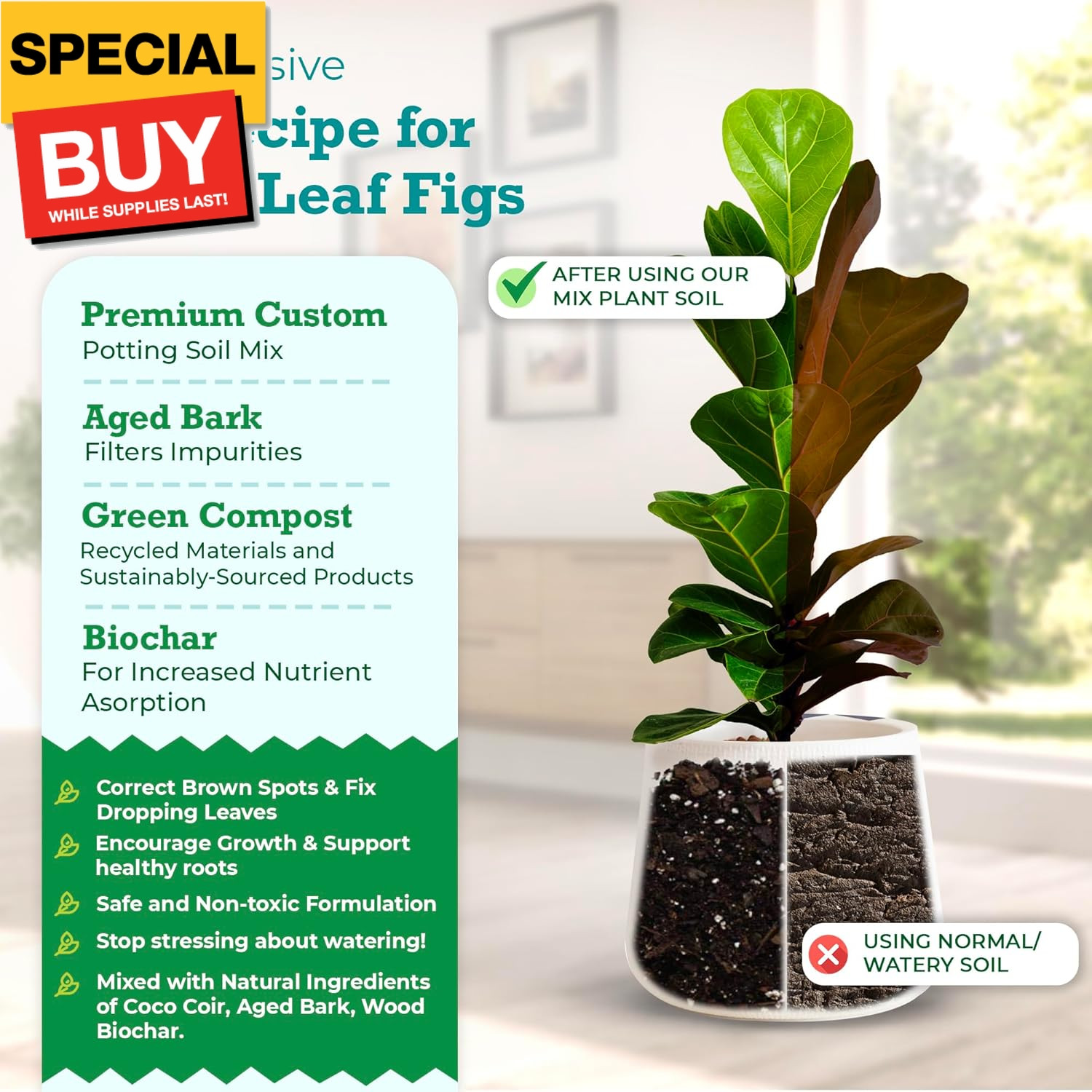 Fiddle Leaf Fig Potting Soil Mix by Fiddle Leaf Fig Plant Resource | Premium Org