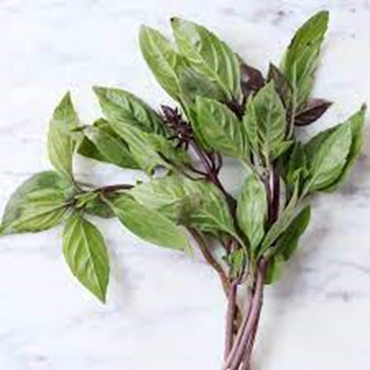 Thai Basil Seeds 150+ Ocimum basilicum Khmer Chi Neang Vorng (Anise Licorice)