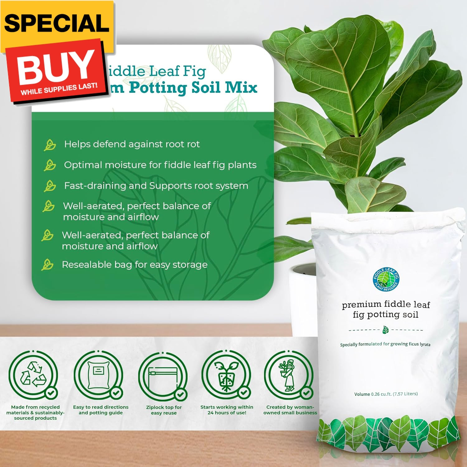 Fiddle Leaf Fig Potting Soil Mix by Fiddle Leaf Fig Plant Resource | Premium Org