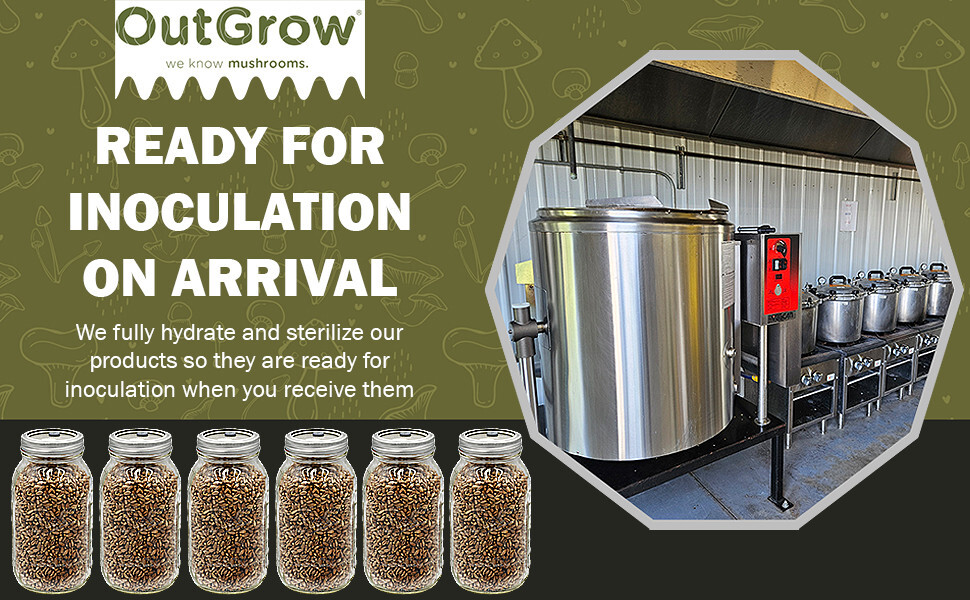 Sterilized Rye Grains for Mushroom Cultivation – Quart Jar with Injection Port