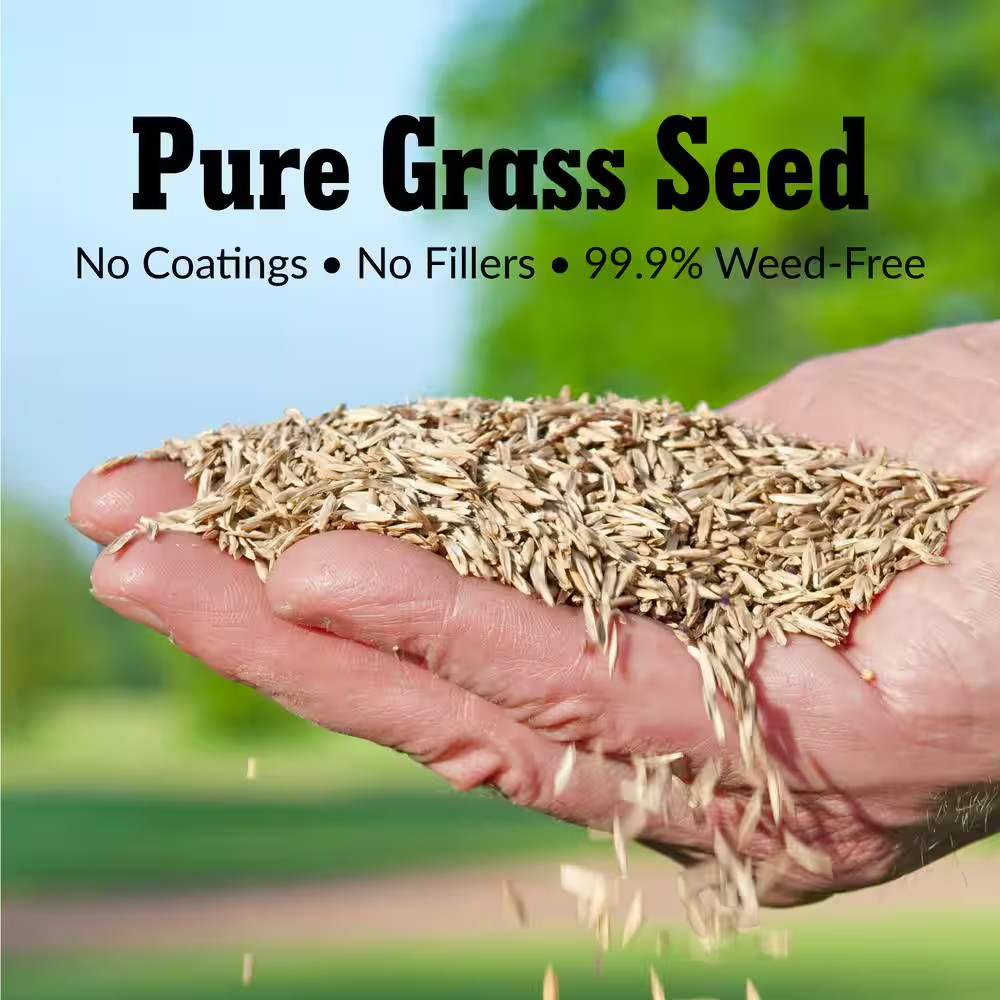 3 Lbs. Fairway Formula Grass Seed Perennial Ryegrass Blend