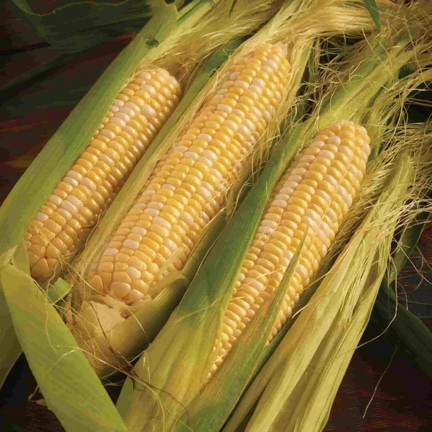 Peaches & Cream Corn Seeds | Non-GMO | Vegetable Seeds