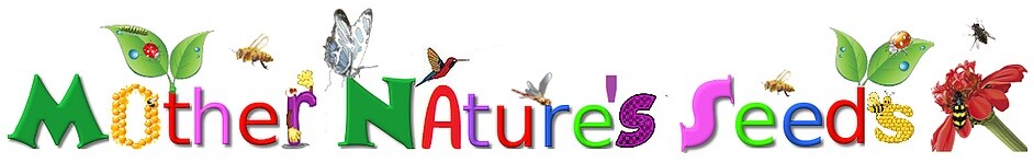 Candytuft MIXED COLORS Ground Cover Pollinators Fragrant USA Non-GMO 1000 Seeds!