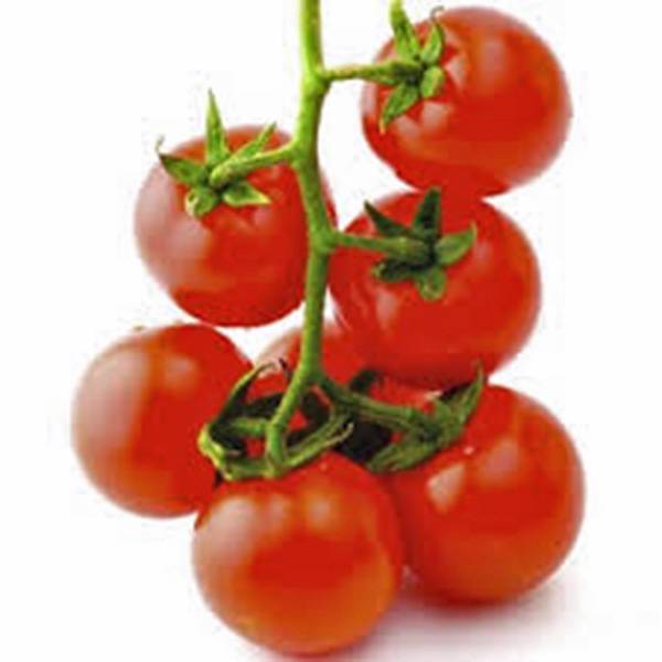 TOMATO SEEDS,SWEET LARGE CHERRY TOMATO, HEIRLOOM, 100+ , NON GMO,
