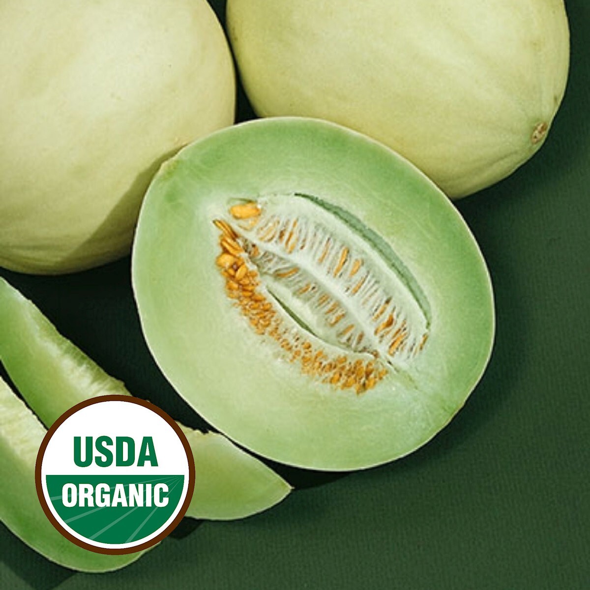 25 Organic Green Flesh Honeydew Melon Seeds – Everwilde Farms Mylar Seed Packet
