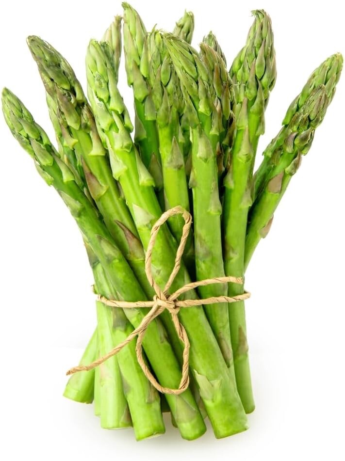Jersey Giant Live Asparagus Bare Root Plants 2yr Crowns