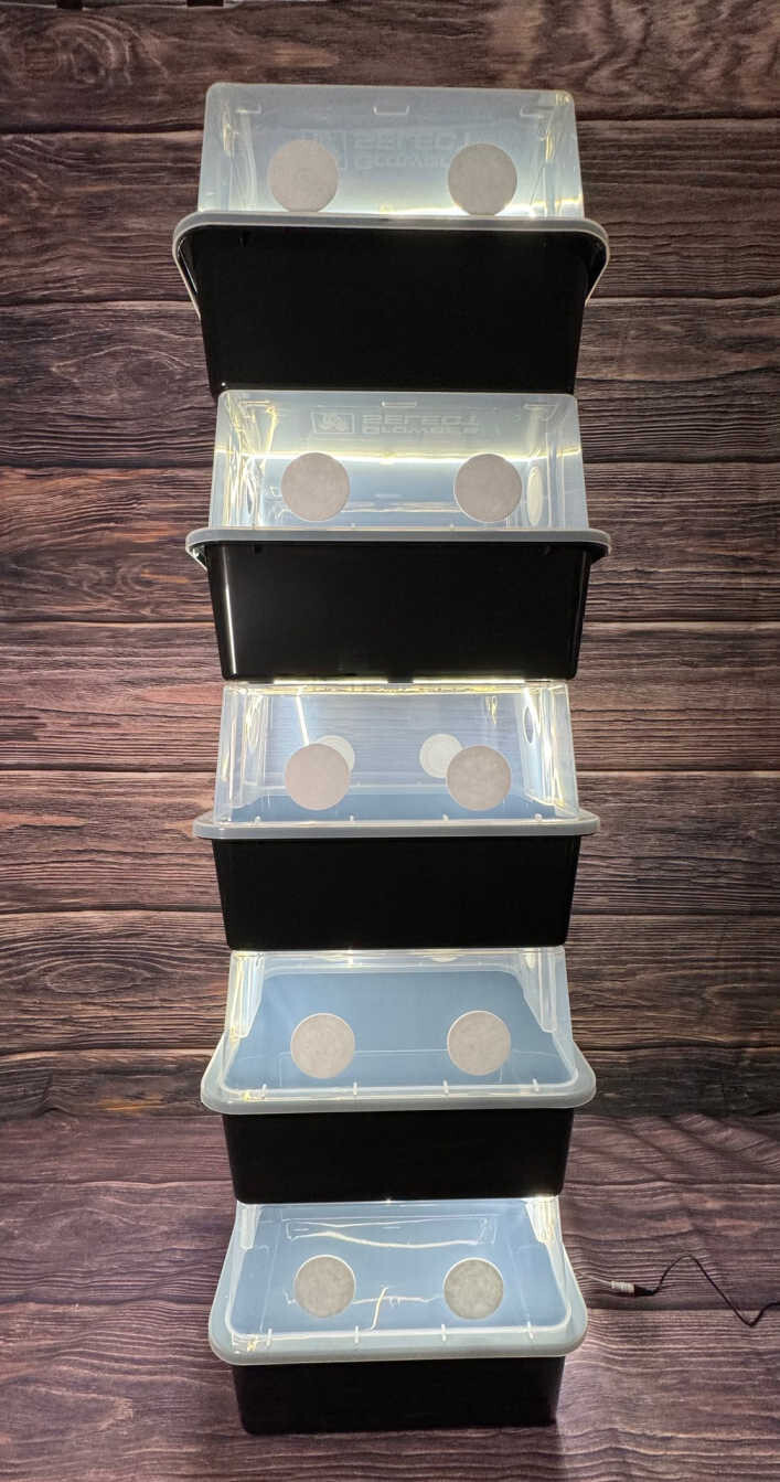 Grower’s Select 48Q Mushroom Monotub Fruiting Chamber w/ Filter Disks and Liner