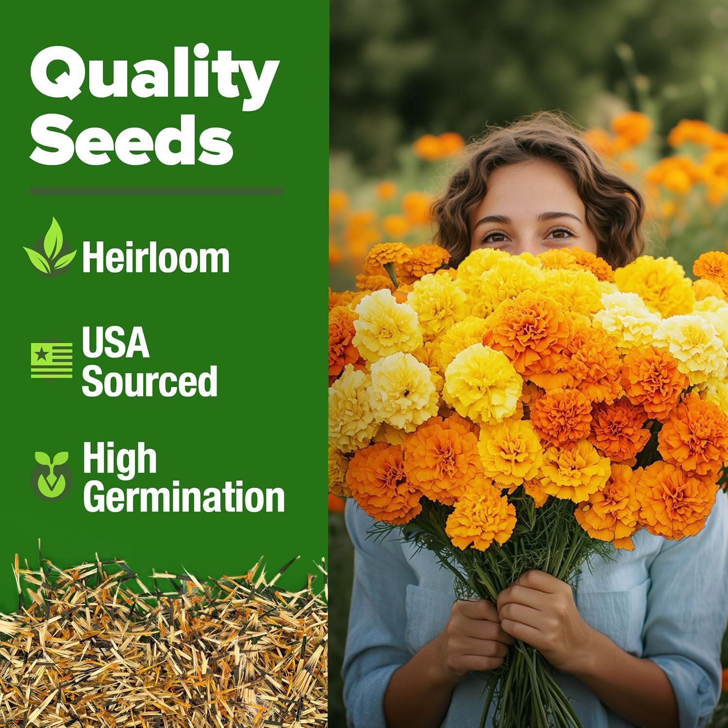 HOME GROWN Marigold Seeds Bulk Mix – 5600+ Crackerjack Marigold Flower Seeds