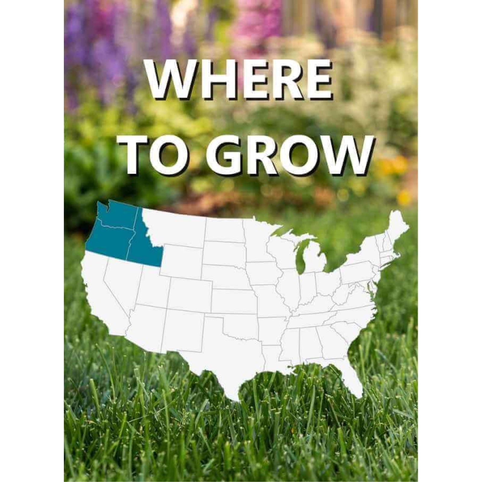 Jonathan Green Black Beauty Pacific Northwest Cool Season Lawn Seed, 50lb