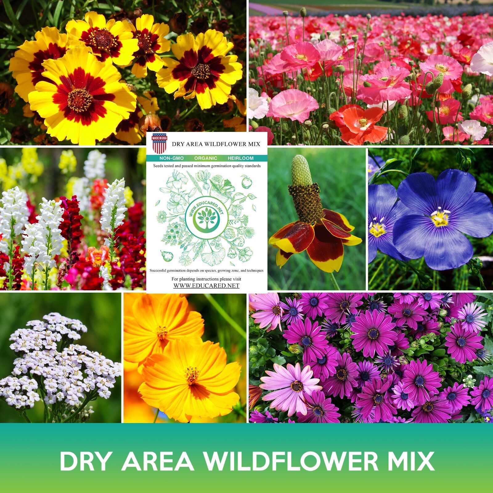 Dry Area Wildflower Mix Seeds