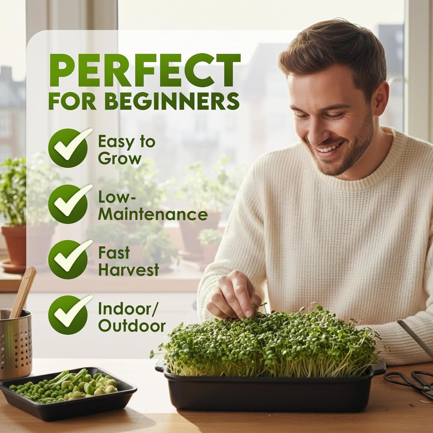 Nutrient-Rich Organic Broccoli Seeds – Certified Non-GMO for Indoor/Outdoor Use