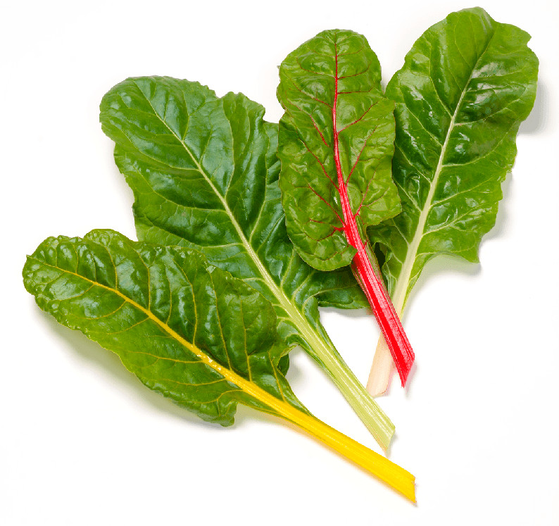 Organic Rainbow Swiss Chard – Beta vulgaris