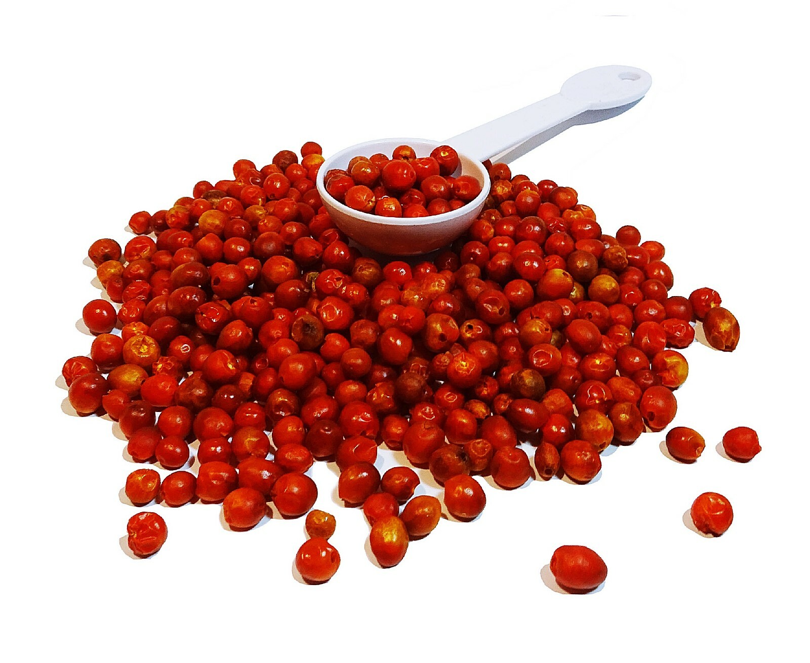 Chiltepin Pepper Seeds (Chilli Seeds) Weights: 0.5 oz, 1 oz, 2 oz, 4 oz & 6 oz!