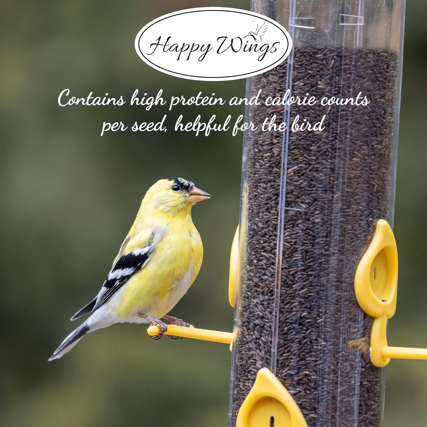 High-Quality Nyjer Seed for Birds – 5lb No Grow Seed, Perfect for Tube Feeders