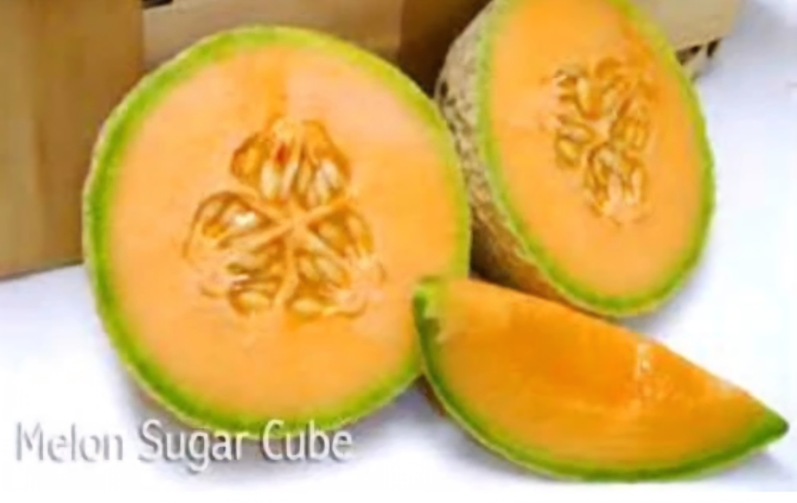 Sugar Cubes Cantaloupe- 15 Seeds 2025