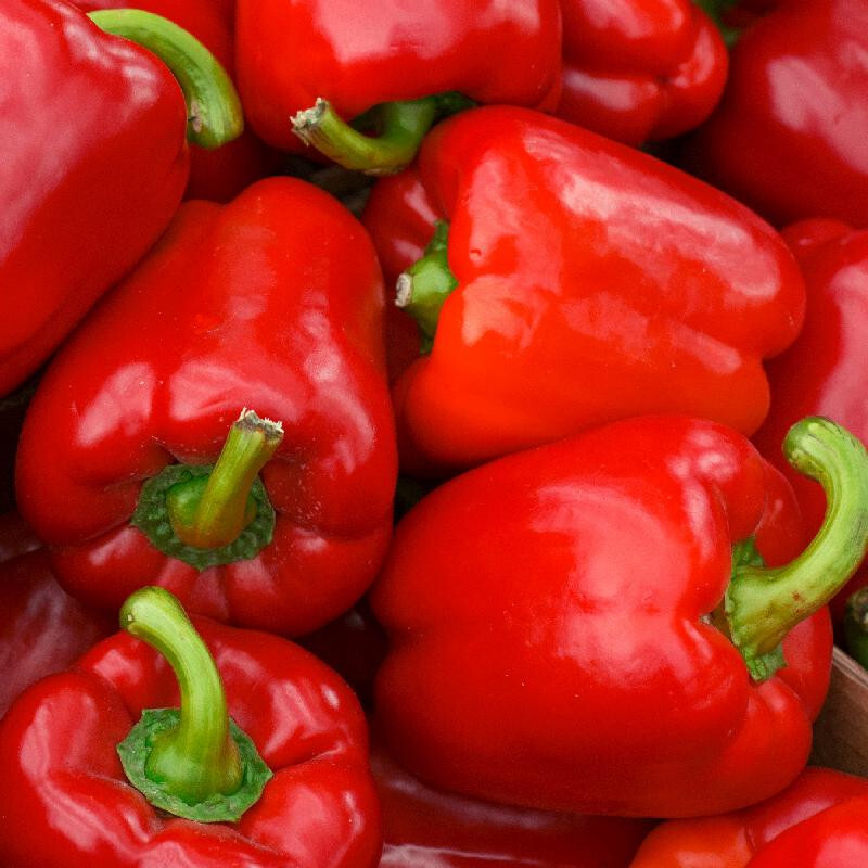 30+ BIG RED SWEET PEPPER SEEDS NON-GMO FRESH FOR YOUR GARDEN