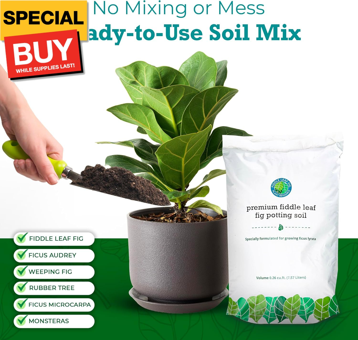 Fiddle Leaf Fig Potting Soil Mix by Fiddle Leaf Fig Plant Resource | Premium Org