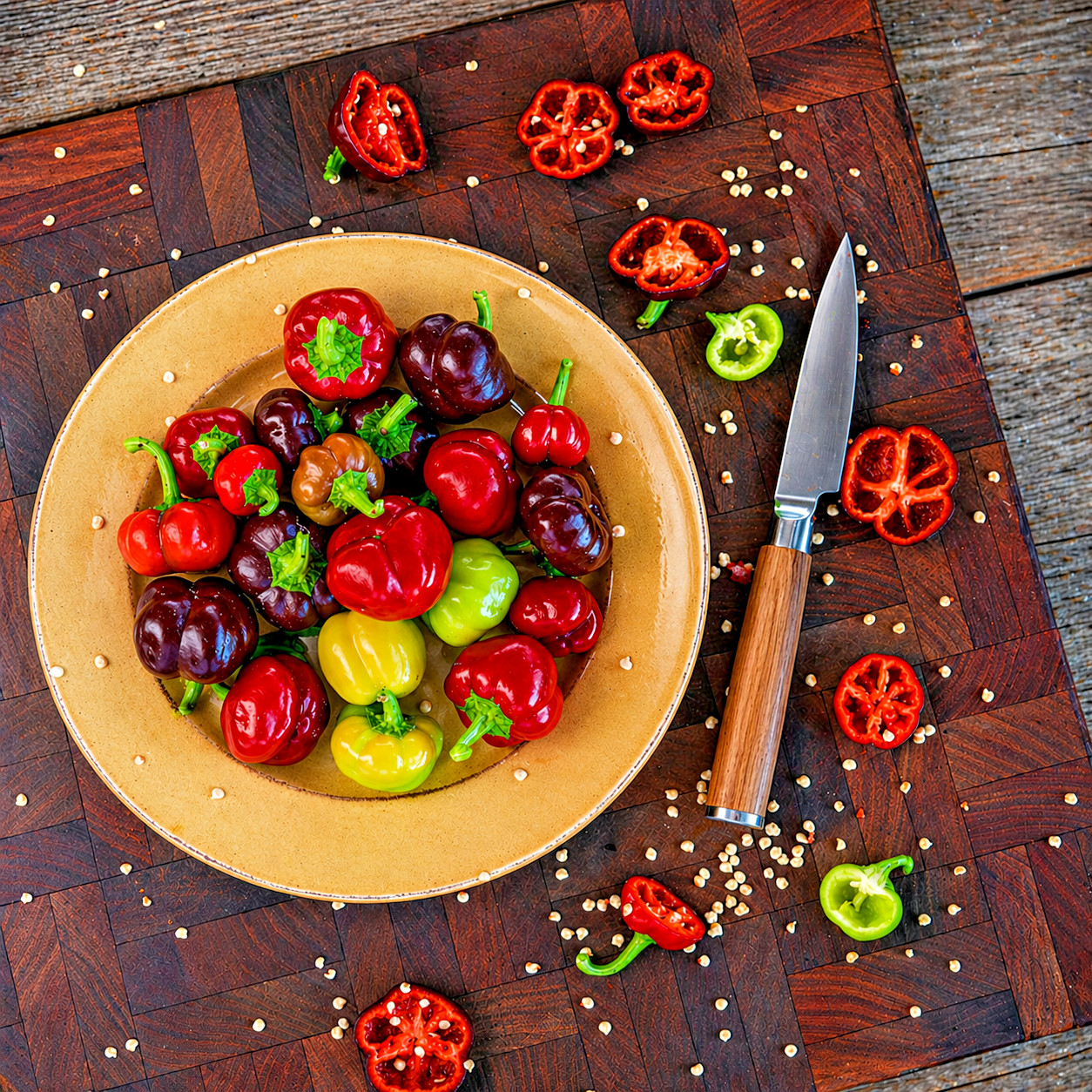 50 Sweet Mini Bell Pepper Seeds, Red, Yellow, and Brown- NON-GMO, USA