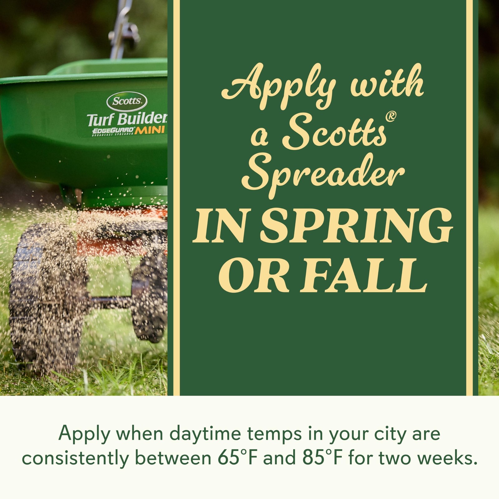 Scotts O.M. Scott And Sons Tall Fescue Blend – And Soil