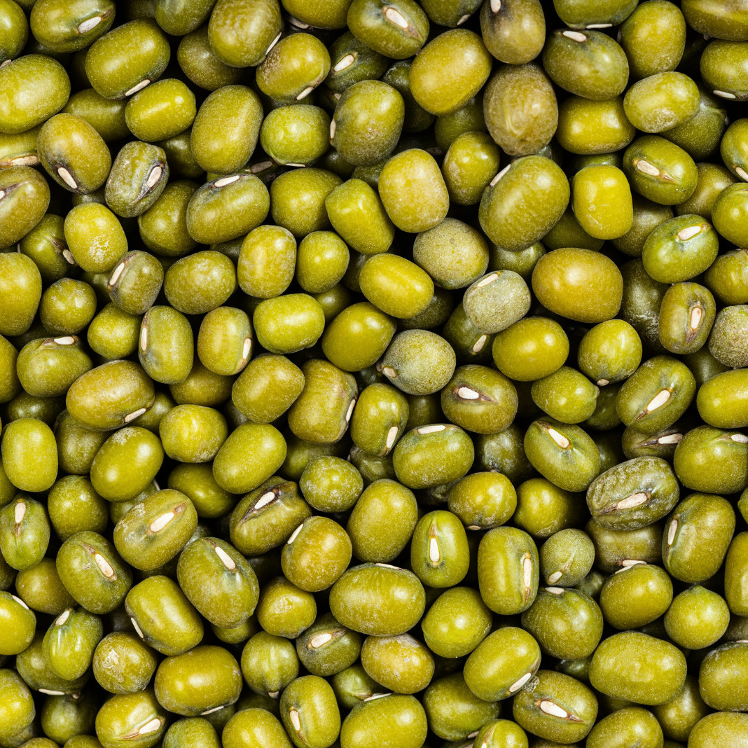 Fresh Green Gram Seeds | Moong | Mung Bean | Heirloom Non-GMO | Asian Vegetables