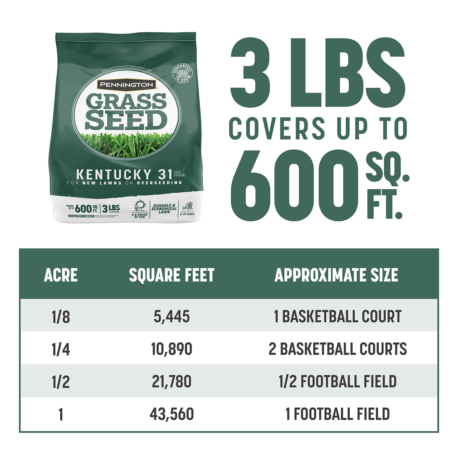 Pennington Kentucky 31 Tall Fescue Penkoted Grass 3 LB (Pack of 2), Green