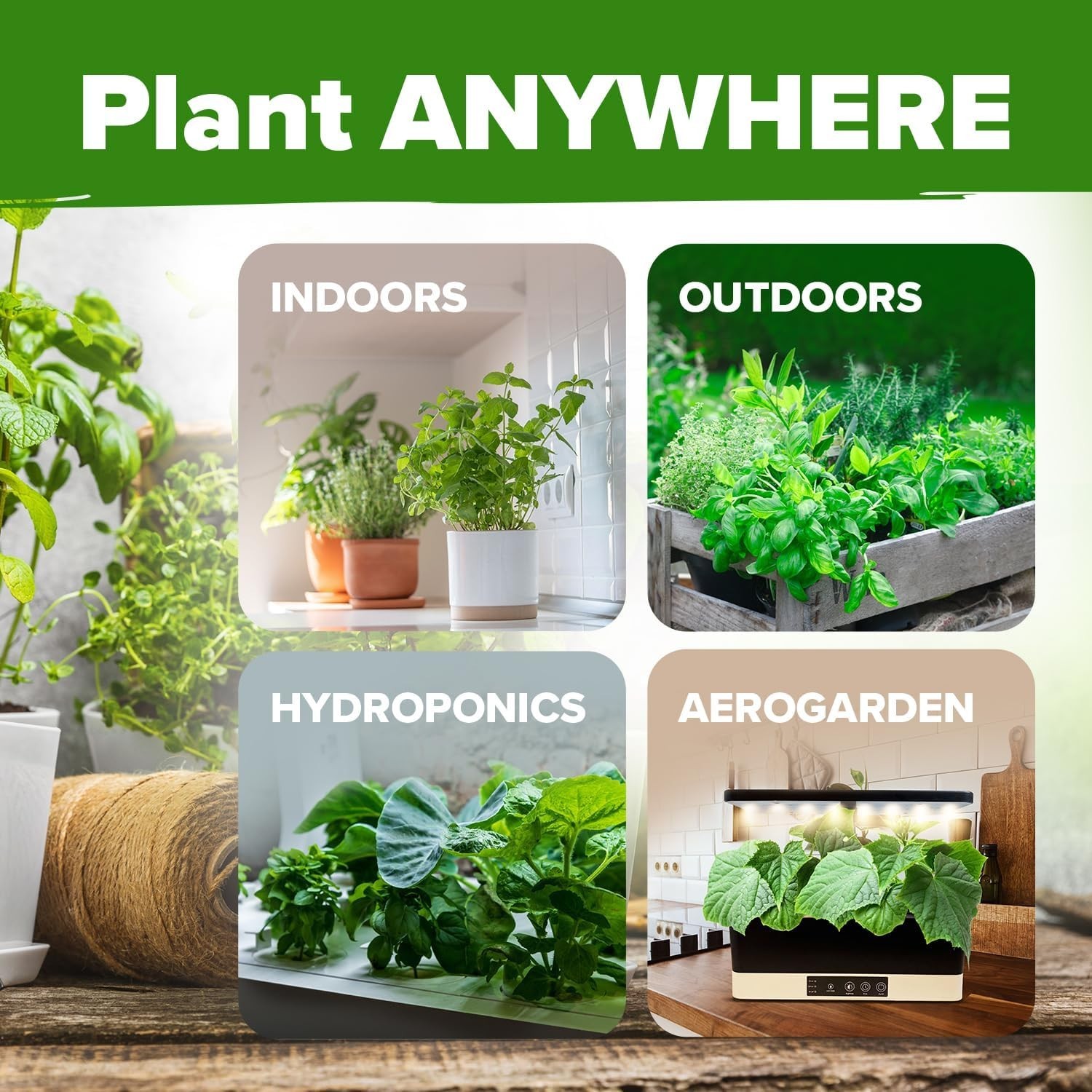 20 Culinary & Medicinal Herb Seeds – Non-GMO & Hydrophonic Friendly Variety Pack