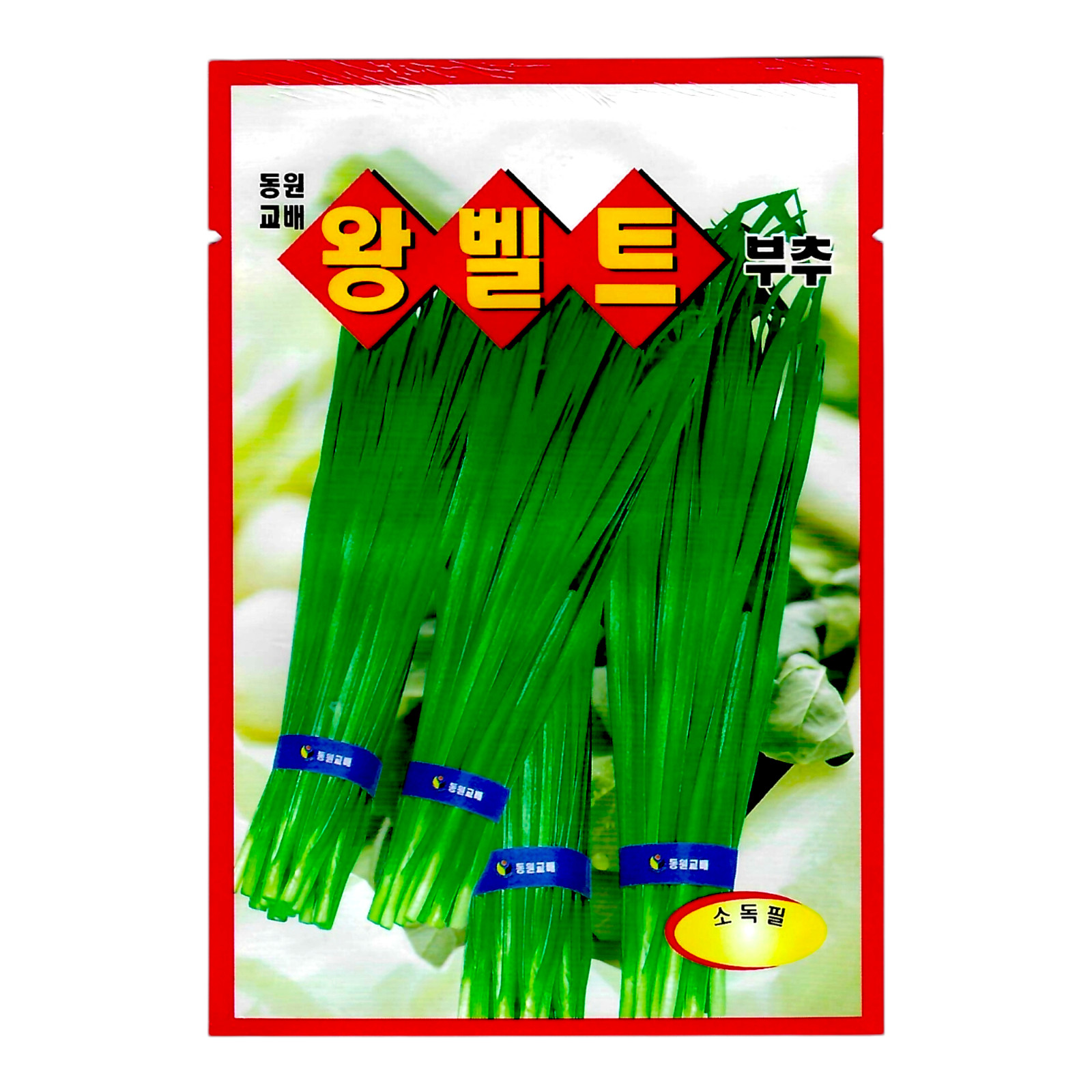 Korean Garlic Chives Seeds 1 Pack | Perennial & Easy to Grow (부추)