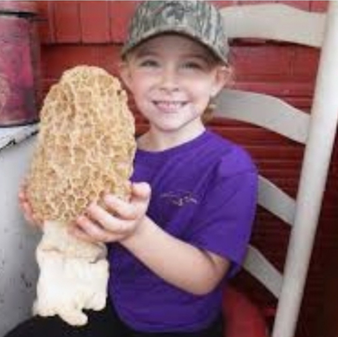 Morel Mushroom- Garden Grow Kit- Guaranteed! Free Shipping!