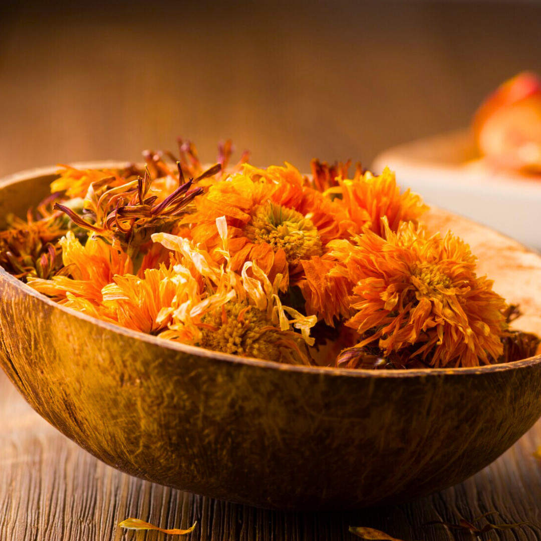 Fresh Premium Pacific Beauty Calendula Seeds | Heirloom Non-GMO | Flower Seeds