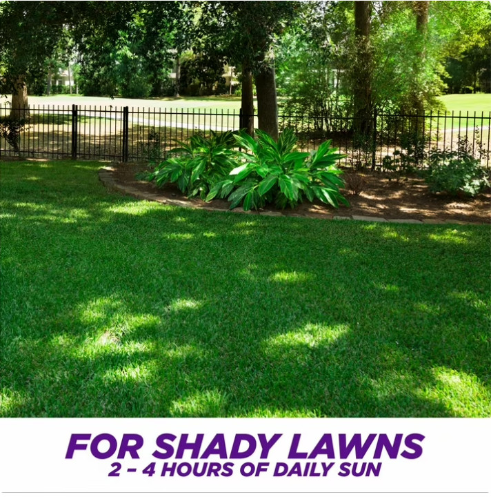 PENNINGTON GRASS SEED Dense Shade Patch & Repair Mix, Partial to Full Shade