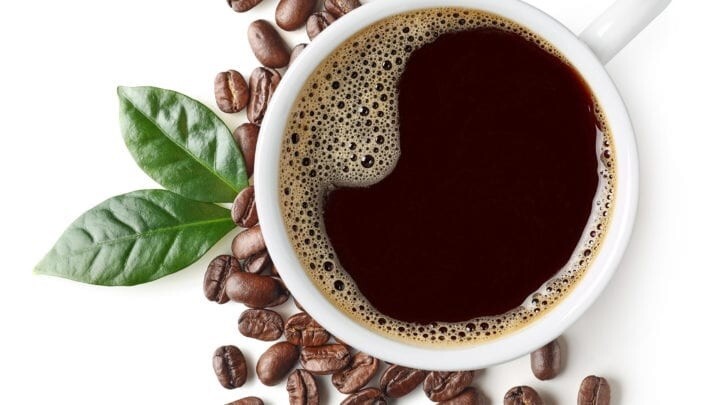 Coffee Arabica Tree Beans 10- 110 Seeds Air purifying Houseplant decor Easy grow