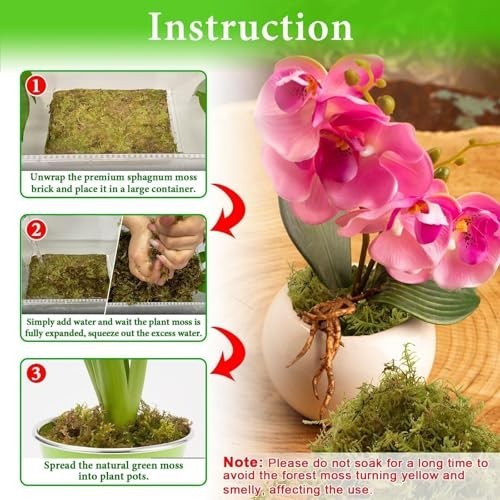 Sphagnum Moss for Plants 2.2LB 50QT Green Natural Long Fiber for Orchid