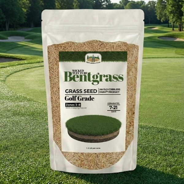 Old Cobblers Farm™ Highland Bentgrass Grass Seed – For Green Lush Lawn