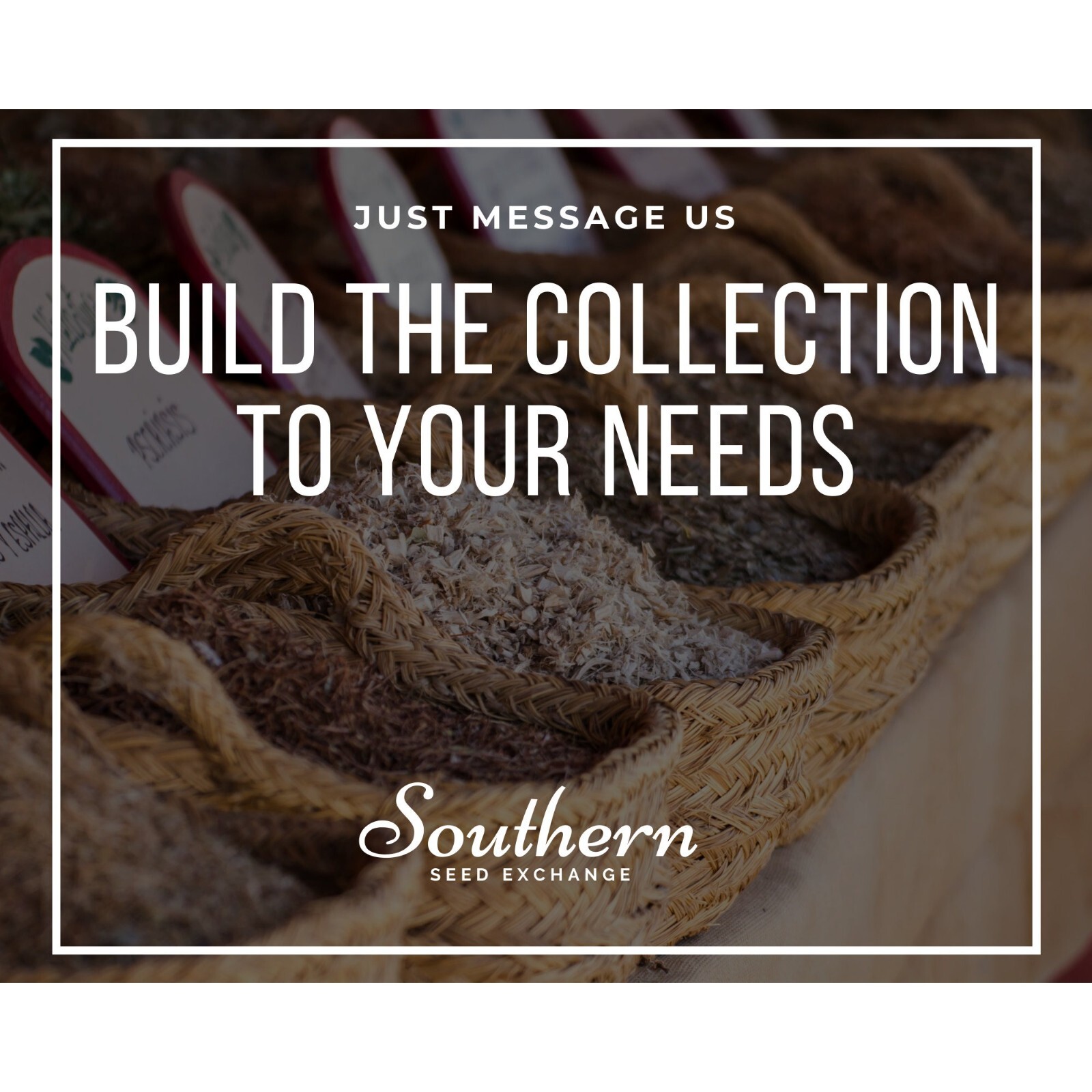 Salsa Seed Collection – Restaurant Style – 10 Amazing Seed Varieties – Perfect f