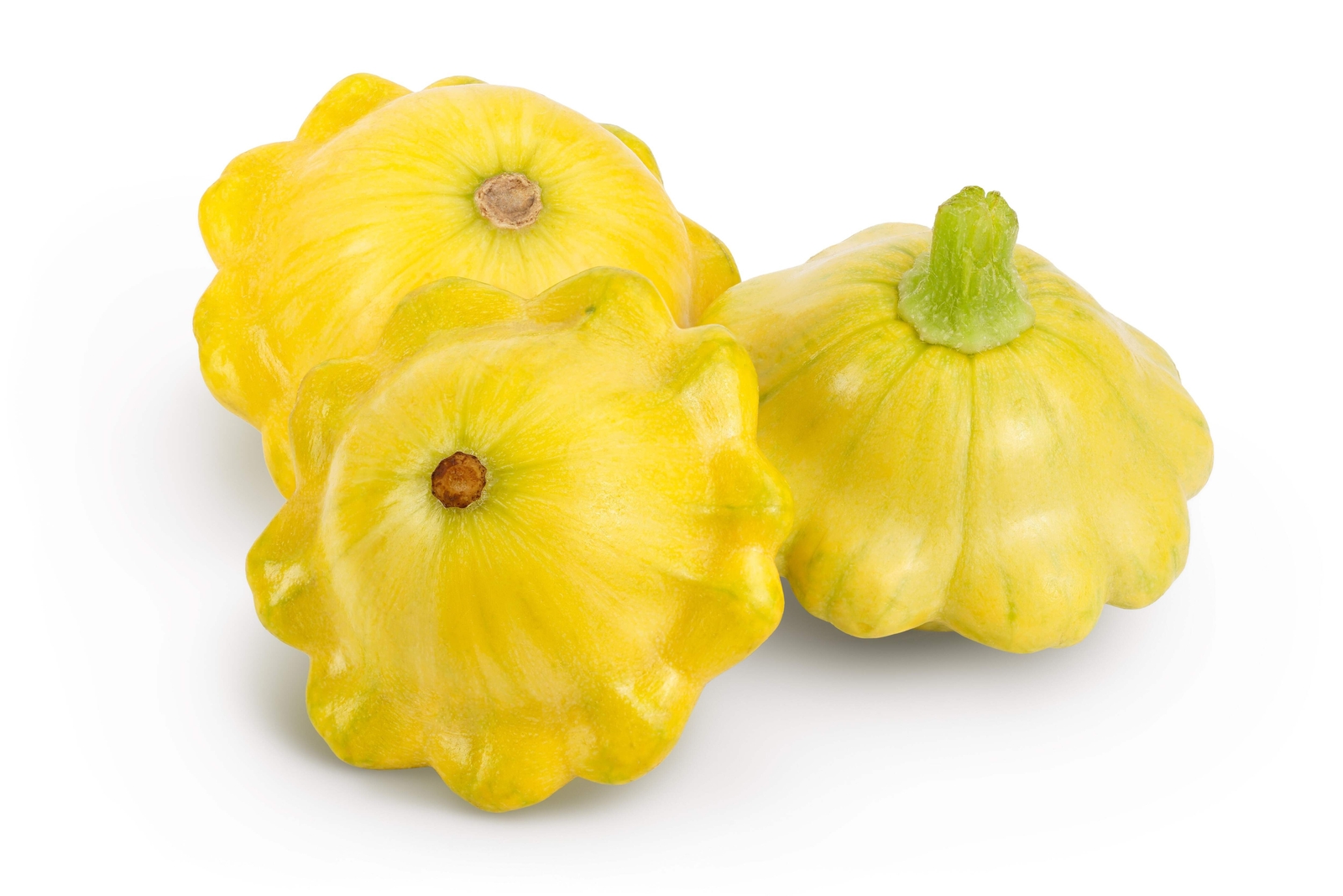 10 Golden YELLOW Bush SCALLOP SQUASH Patty Pan Cucurbita Pepo Vegetable Seeds